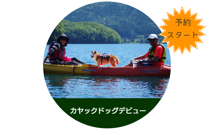 犬とカヤックカヤックドッグデビュー