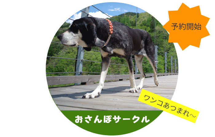 犬と自然の中のお散歩ツアー
