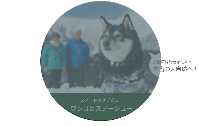 犬とスノーシュー