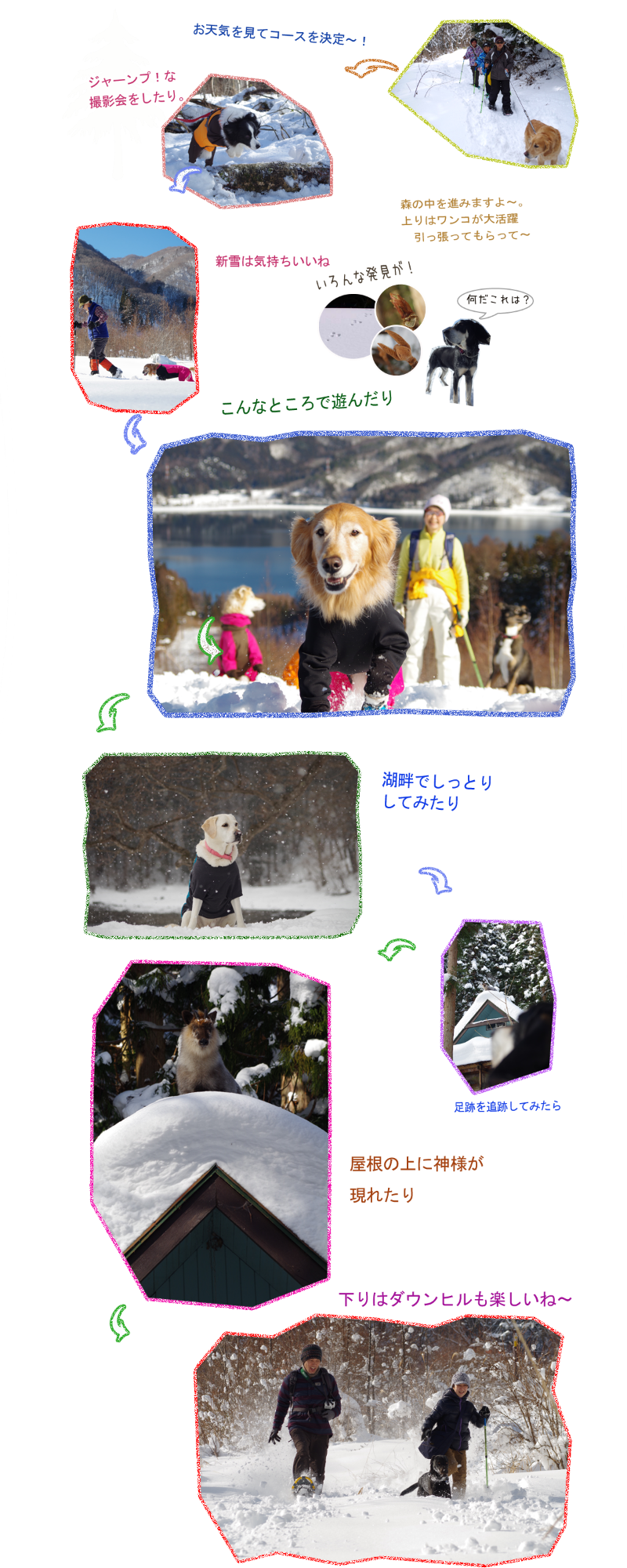犬とスノーシュー体験 白馬で愛犬と雪遊び